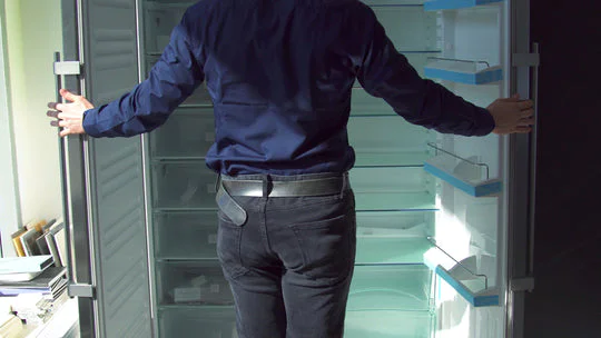Everything You Need to Know About Double-Door Fridges